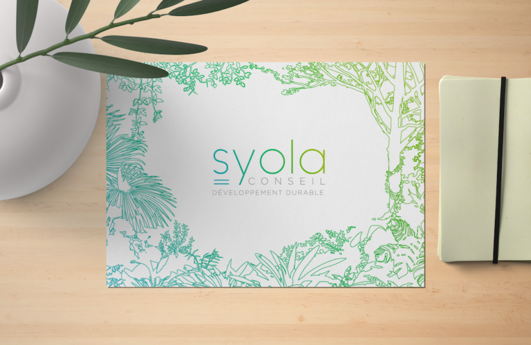 Réalisation de l'identité de marque pour SYOLA Conseil par l'agence La Pieuvre