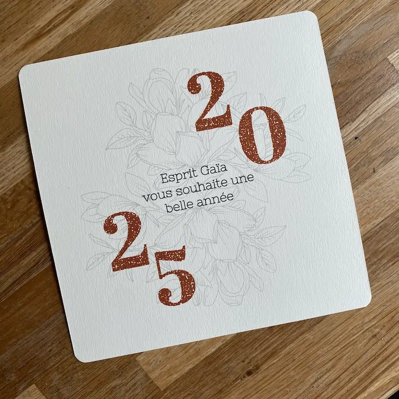 carte de voeux 2025 pour un cabinet d'architecture réalisée par Emilie David, graphiste à Versailles