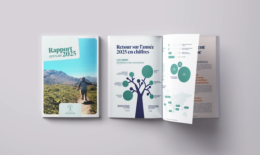rapport annuel 2025 de la fondation lemarchand réalisé par Emilie David